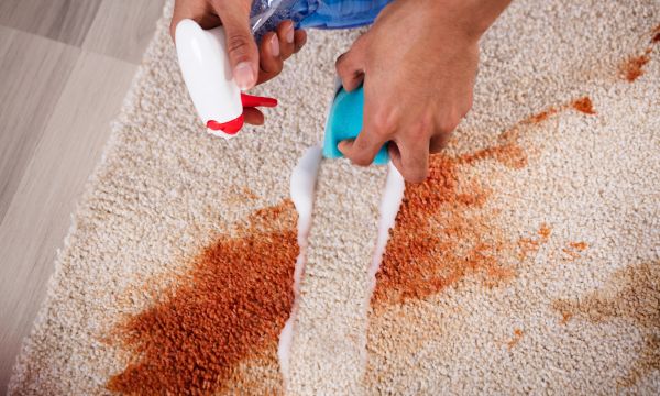 6 Effective Carpet Stain Removal Techniques for a Spotless Home