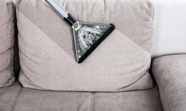 Pet Owner’s Guide to Sofa Cleaning