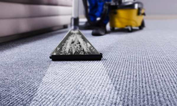 The Ultimate Guide to Carpet Shampooing