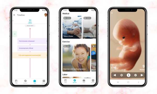 Interactive-features-of-the-app-(Source-Pregnancy-App)