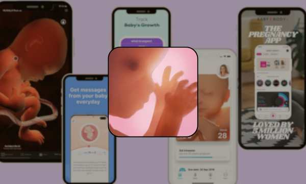 Track Your Pregnancy with the Pregnancy App