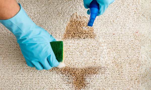 carpet maintenance