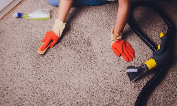 How-to-Extend-Carpet-Durability-with-Daily-Care-3.jpg