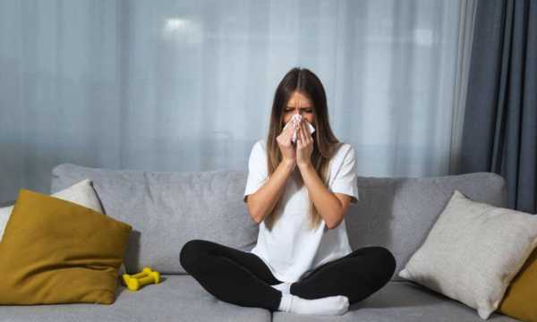 Easy-Tips-to-Eliminate-Dust-Mites-from-the-Sofa-1.jpg