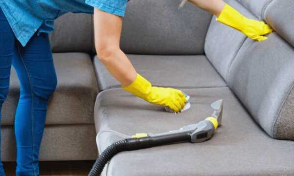 6 Easy Tips to Eliminate Dust Mites from the Sofa