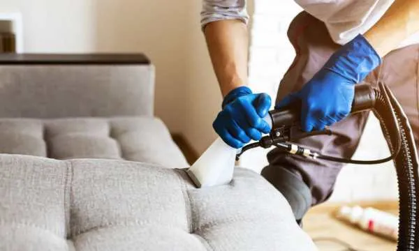 The Best Cleaning Tools to Care for Your Sofa