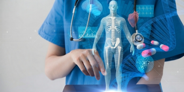 Human Body Facts