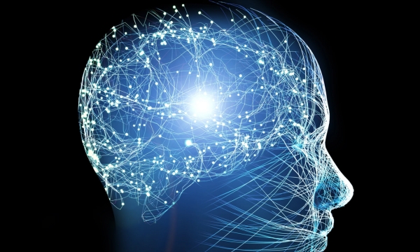 brain facts